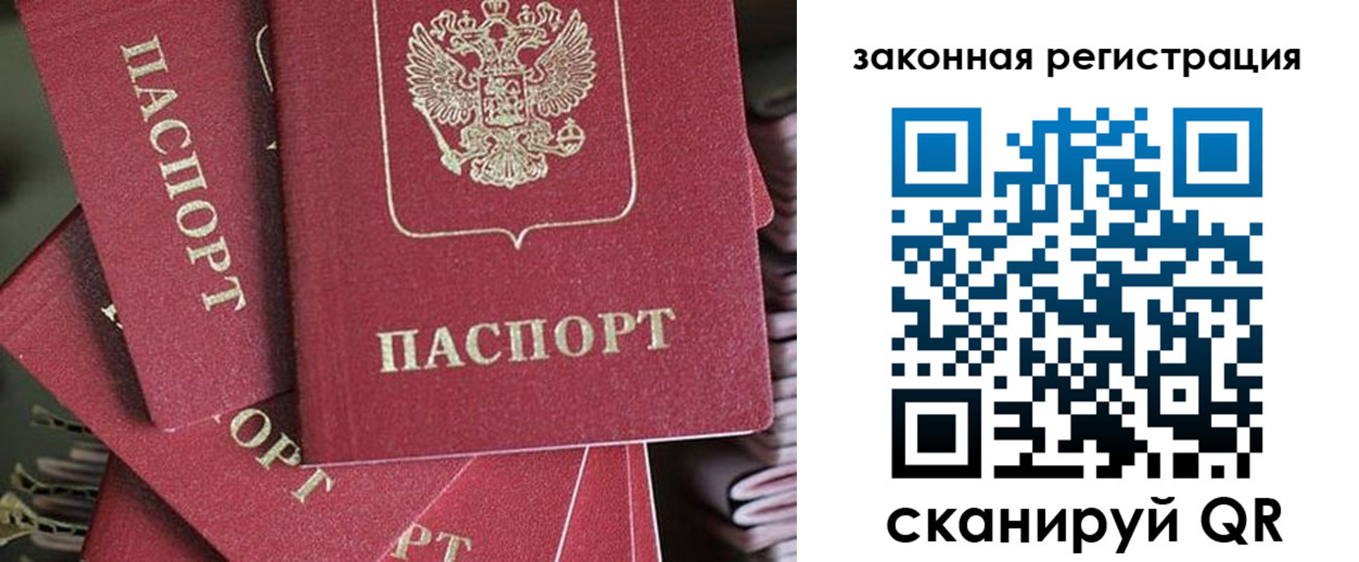 прописка иностранных граждан в Светлогорске